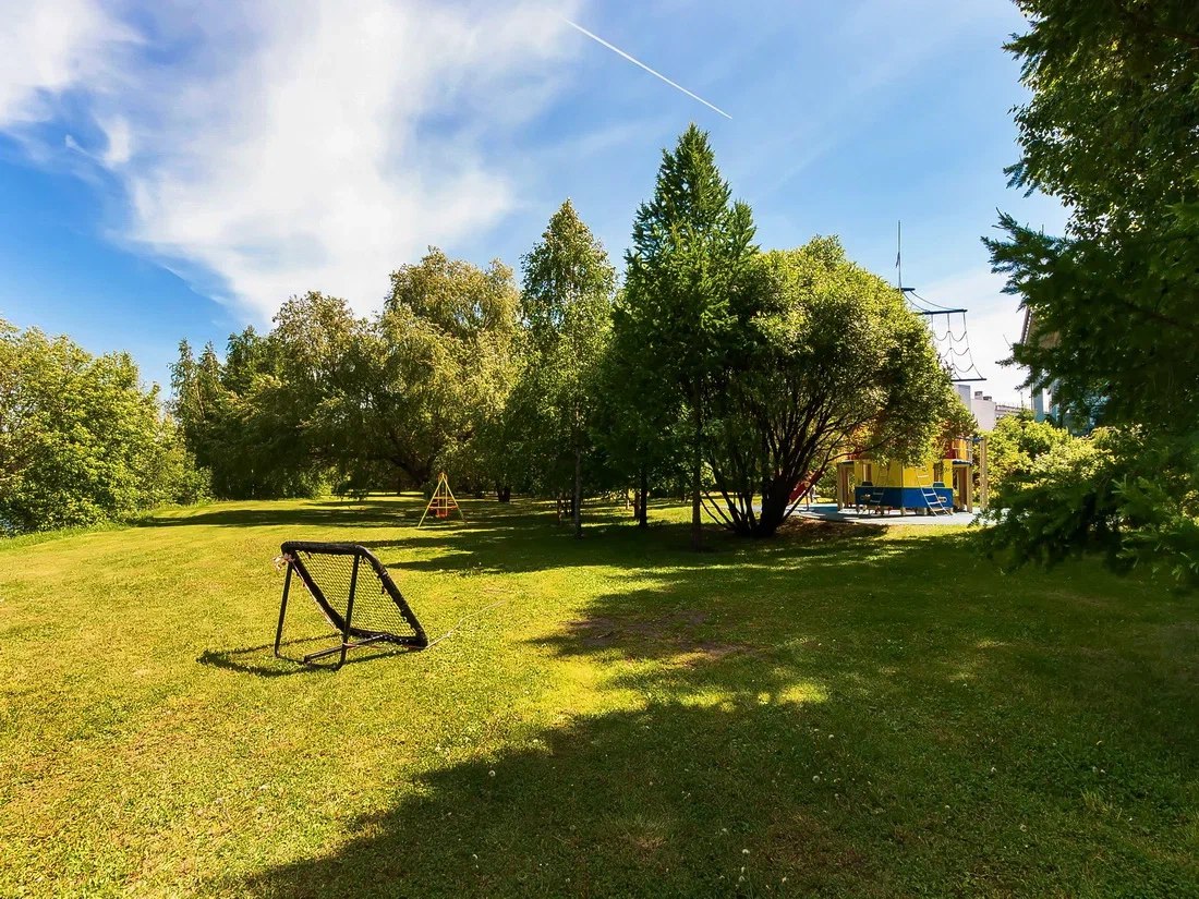 Растения из Красной книги